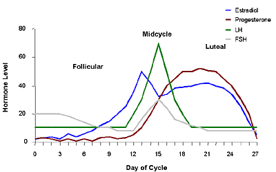 cycle1